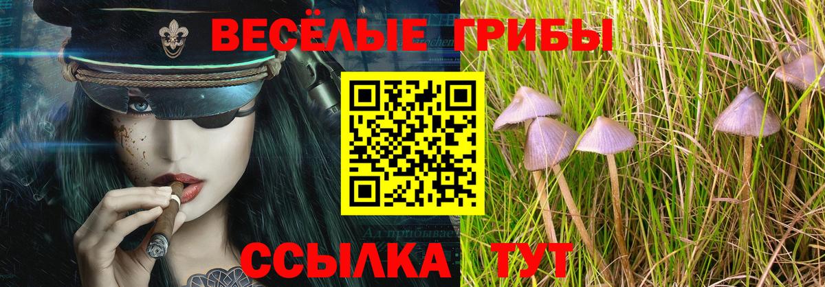 Галлюциногенные грибы MAGIC MUSHROOMS Майкоп